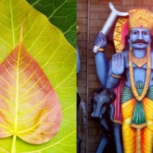 Mythology of Shani Dev and Peepal Tree